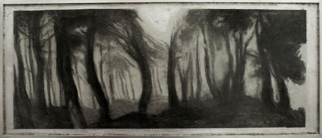 Forest in black and white