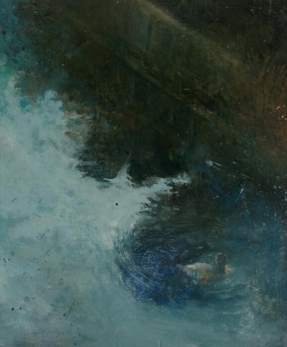 Reflection with ducks